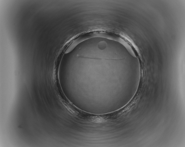 X0000116670249200912141346