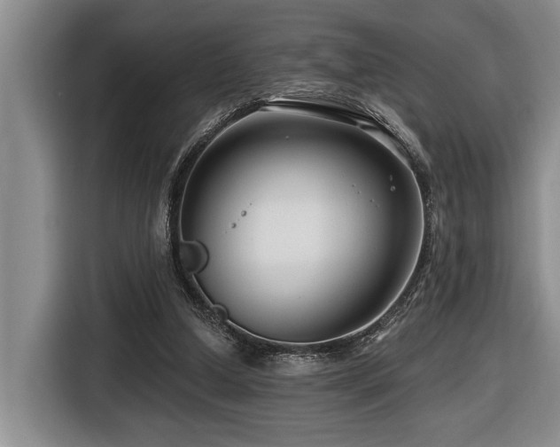 X0000116670250200912141346