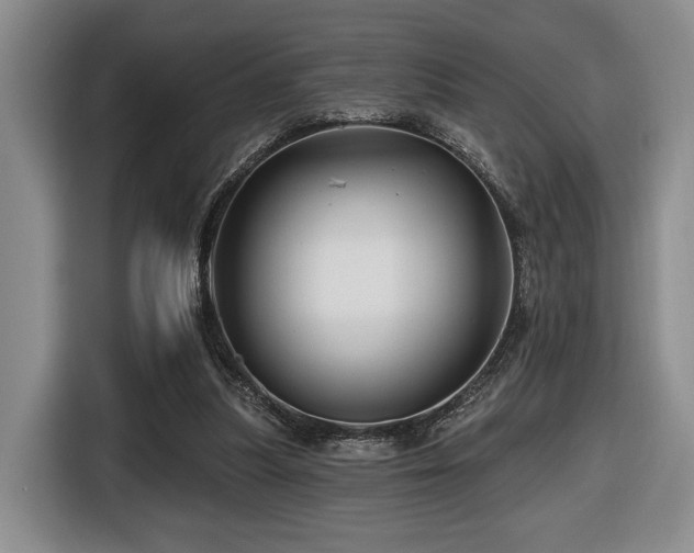 X0000116670251200912141346