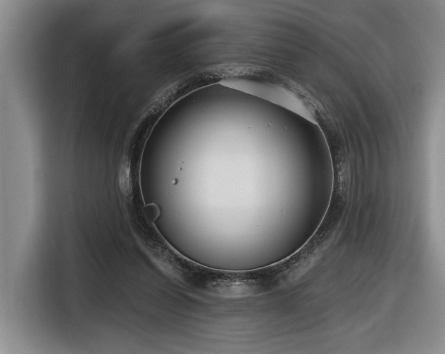 X0000116670254200912141346