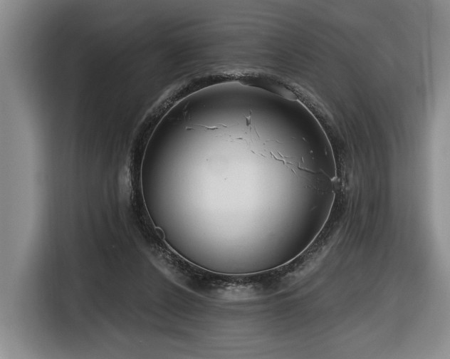 X0000116670256200912141346