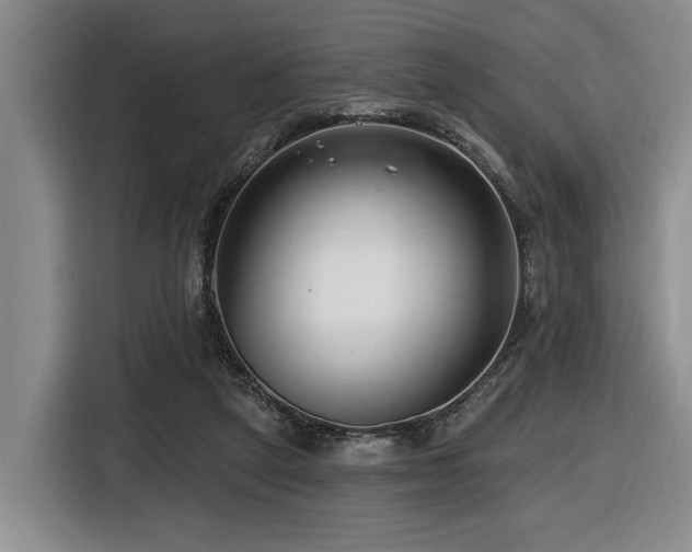 X0000116670257200912141346