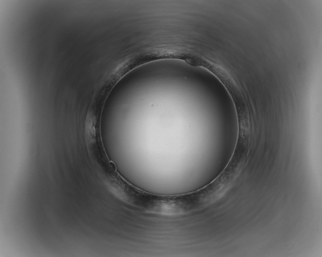 X0000116670264200912141346