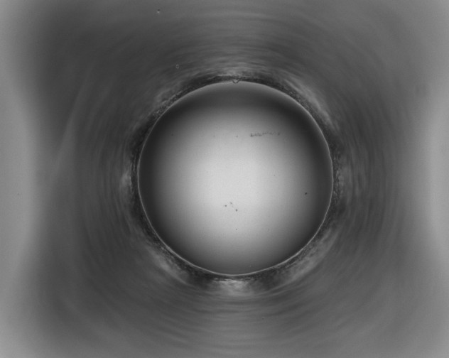 X0000116670265200912141346