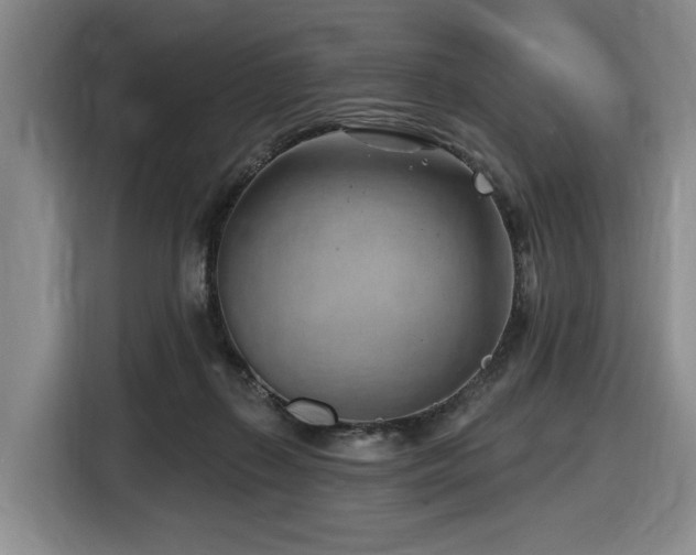 X0000116670267200912141346