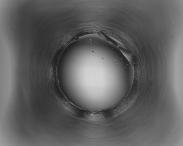 X0000116670270200912141346