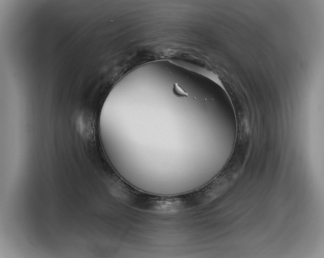 X0000116670274200912141346