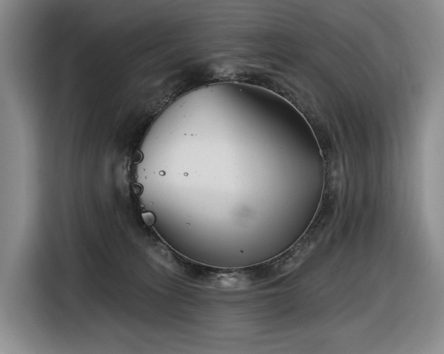 X0000116670275200912141346