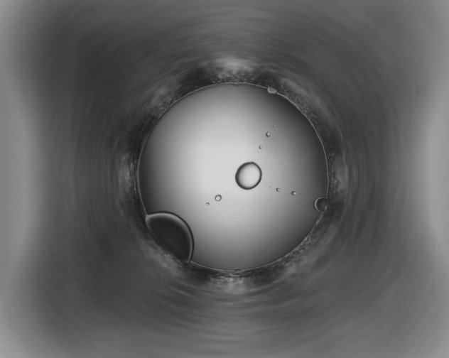 X0000116670276200912141346