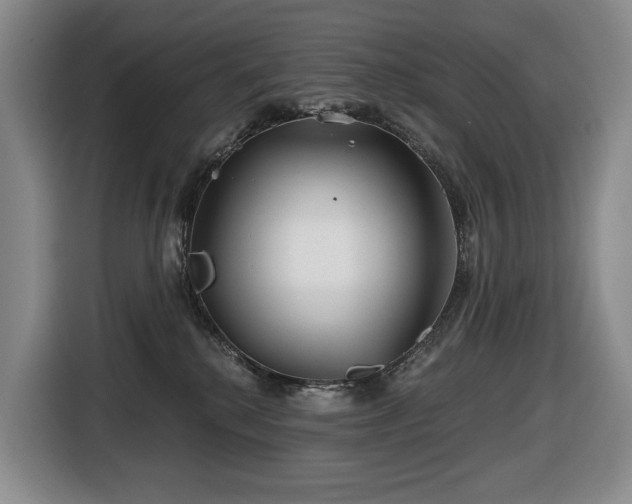 X0000116670280200912141346