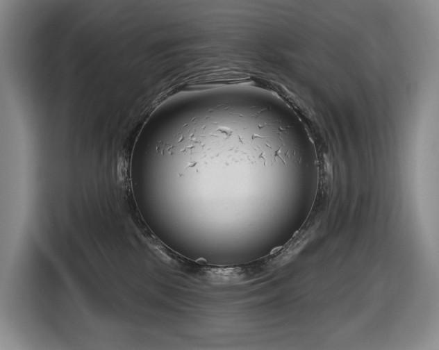 X0000116670281200912141346