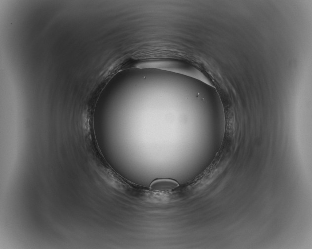 X0000116670282200912141346