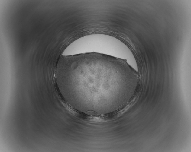 X0000116670285200912141347