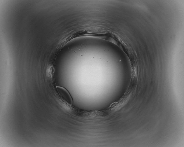 X0000116670286200912141347