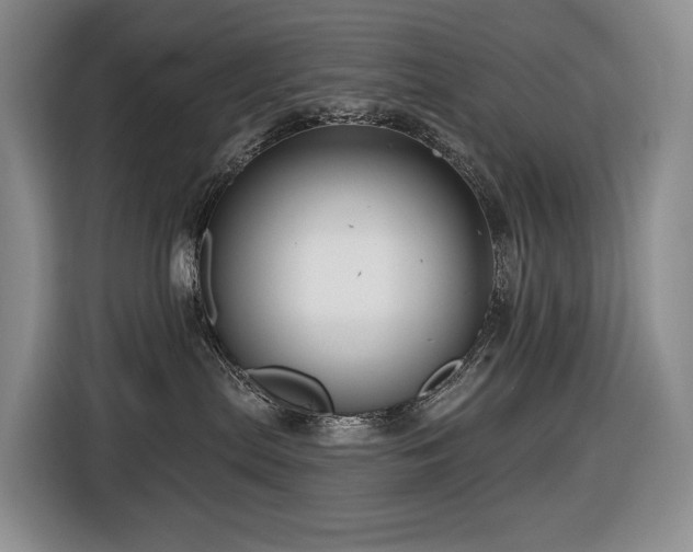 X0000116670287200912141347