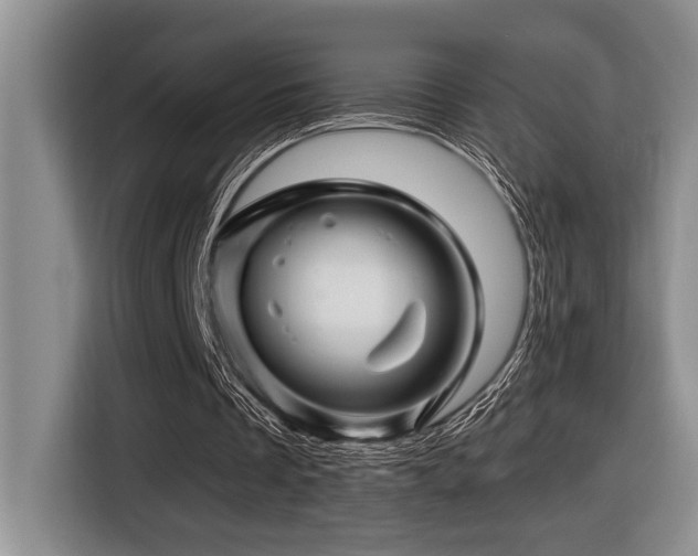 X0000116670289200912141346