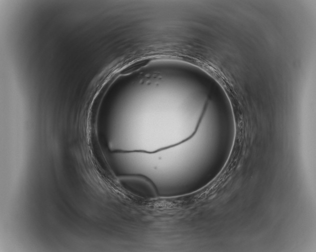 X0000116670290200912141346