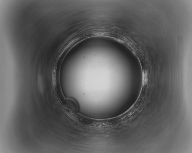 X0000116670291200912141346