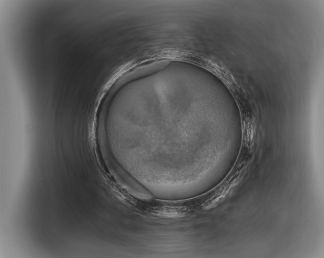 X0000116670292200912141346