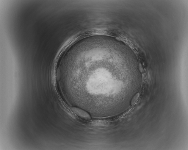 X0000116670293200912141346