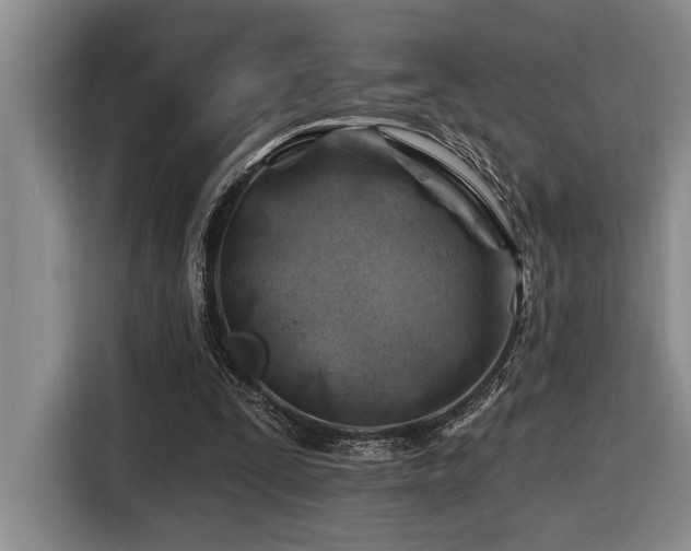 X0000116670295200912141346