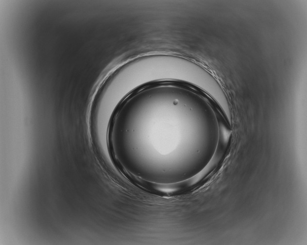 X0000116670296200912141346