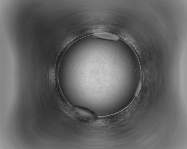 X0000116670297200912141346