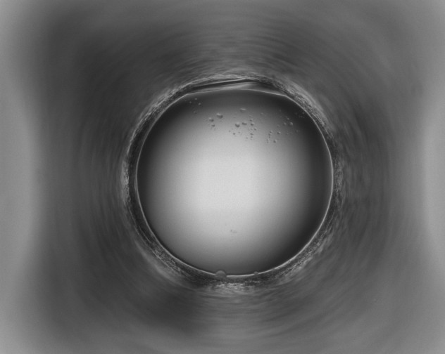 X0000116670298200912141346