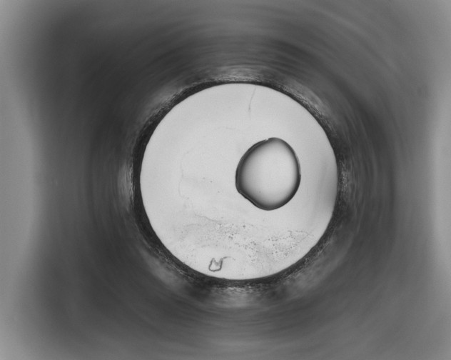 X0000116670302200912141346