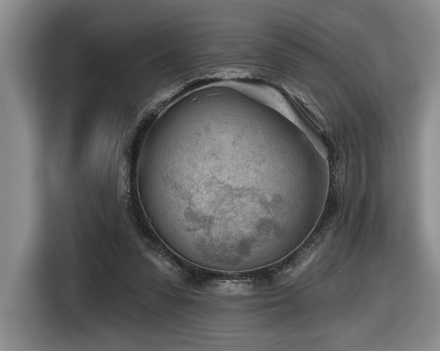 X0000116670303200912141346