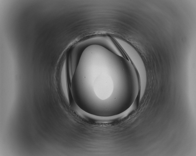 X0000116670304200912141346