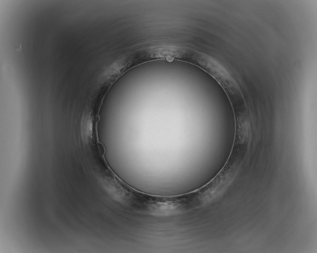 X0000116670310200912141346