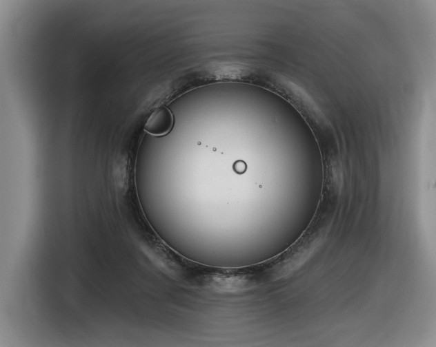 X0000116670311200912141346