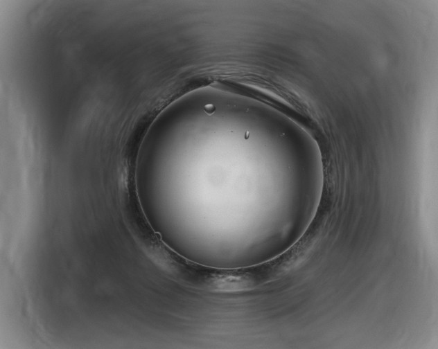 X0000116670315200912141346