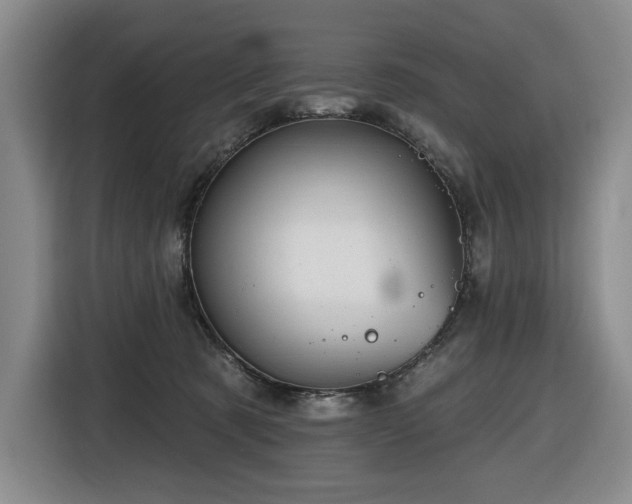 X0000116670321200912141346