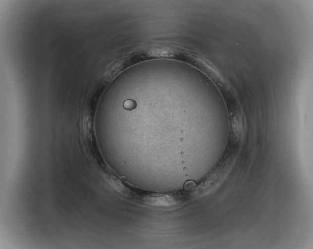 X0000116670322200912141345