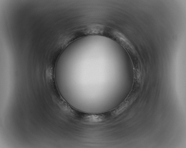 X0000116670326200912141345