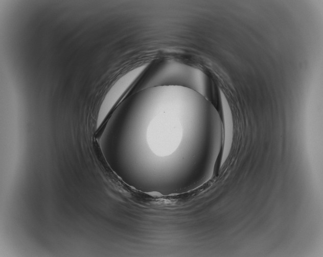 X0000116670328200912141345