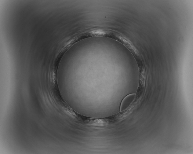 X0000116670330200912141345