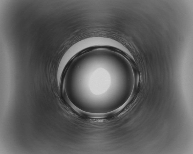 X0000116670332200912141345