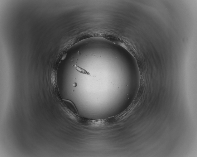 X0000116670335200912141345