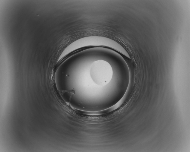 X0000116670336200912141345