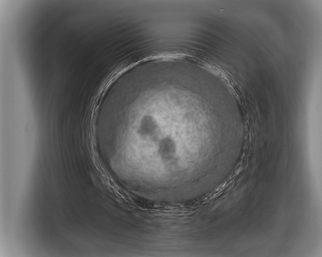 X0000116670337200912141345