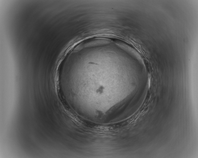 X0000116670339200912141345