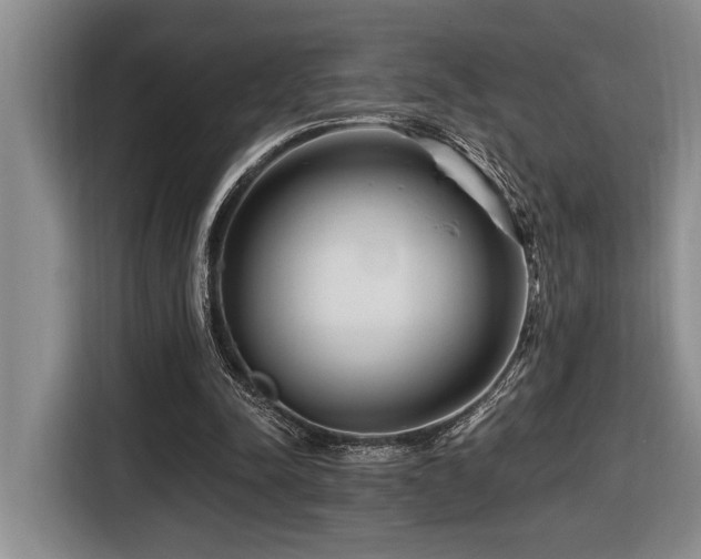 X0000116670342200912141345