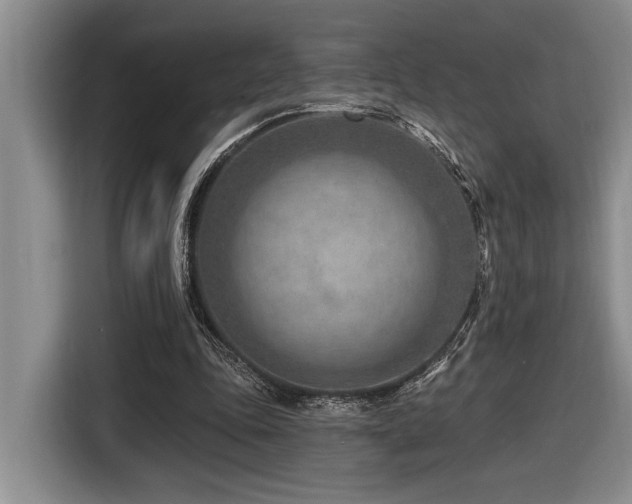 X0000116670343200912141345