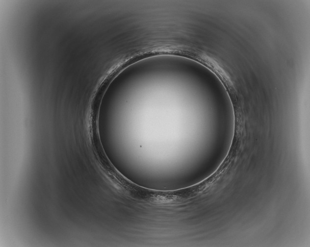 X0000116670346200912141345