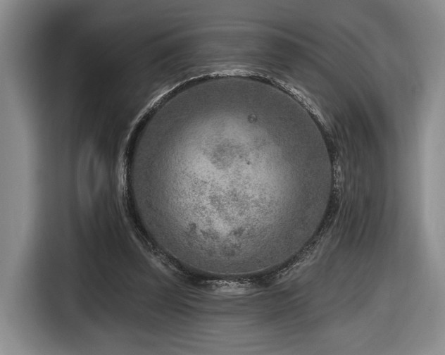 X0000116670347200912141345