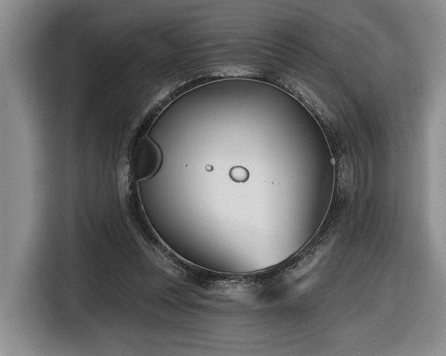 X0000116670351200912141345