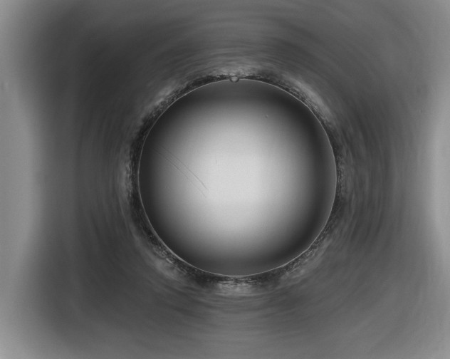 X0000116670354200912141345